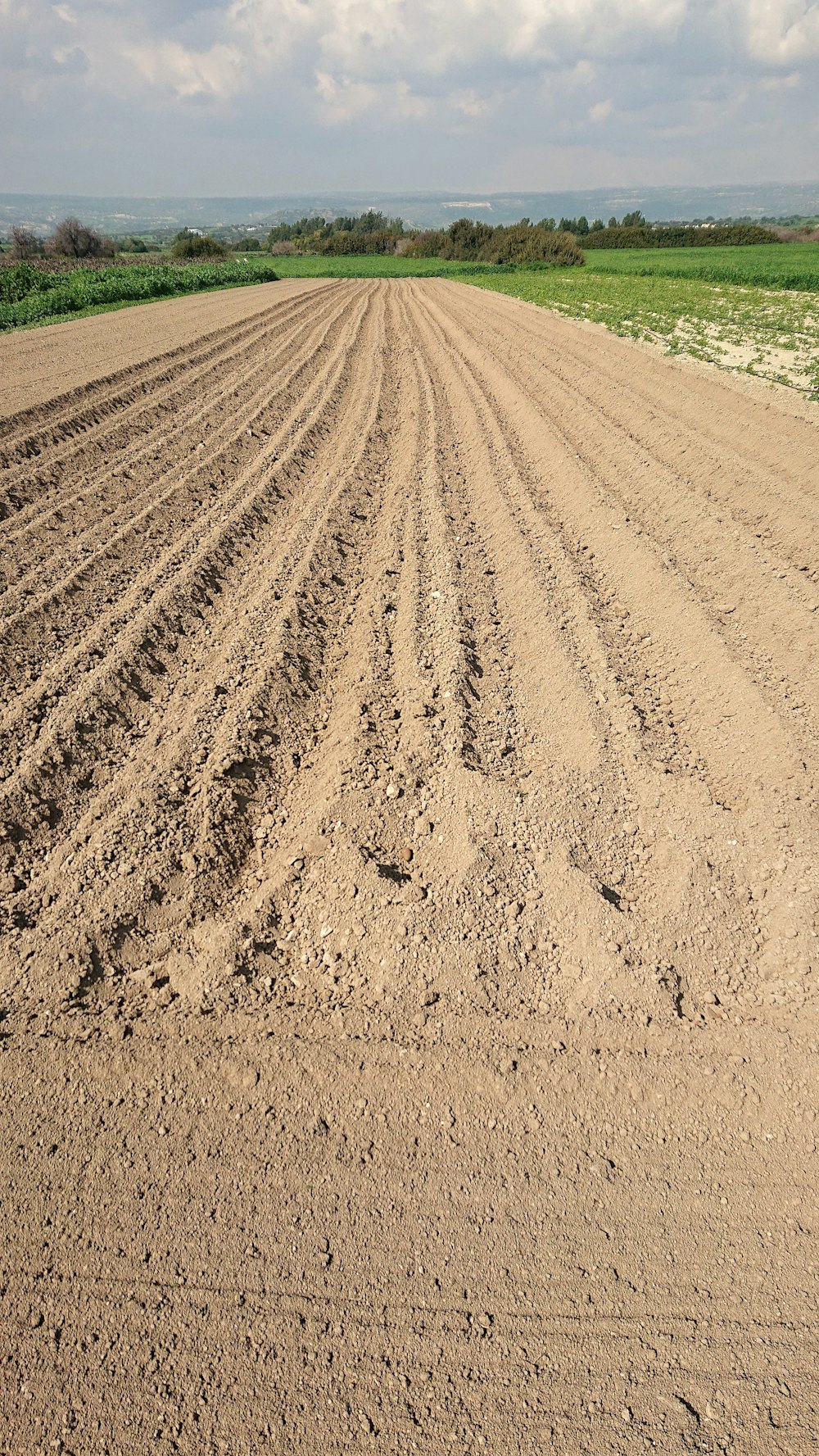 a plowed field with a horse standing in the middle of it