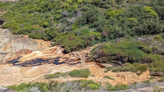 A naturalistic slope reinforced with wooden terraces and native plants.