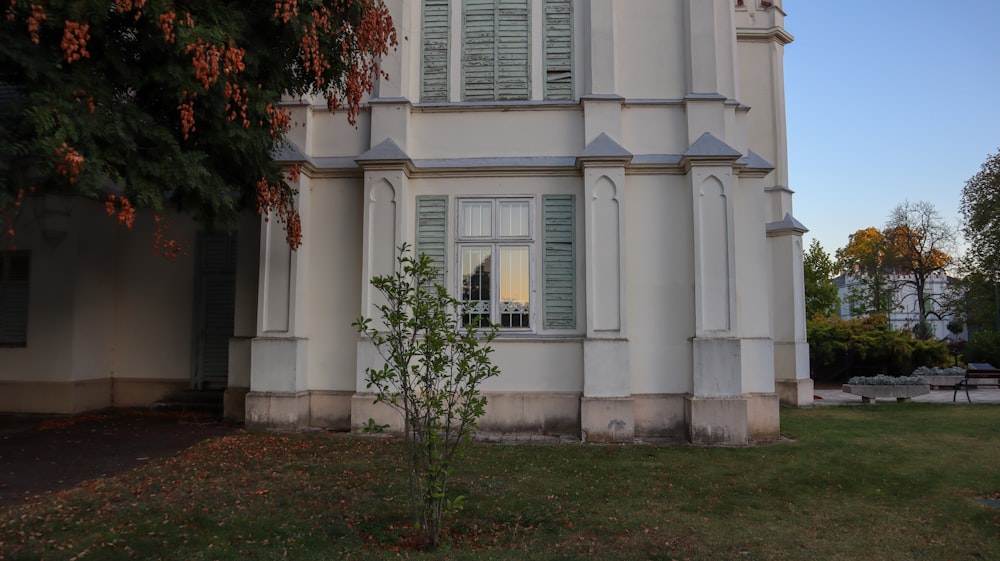 a tall white building with a tree in front of it