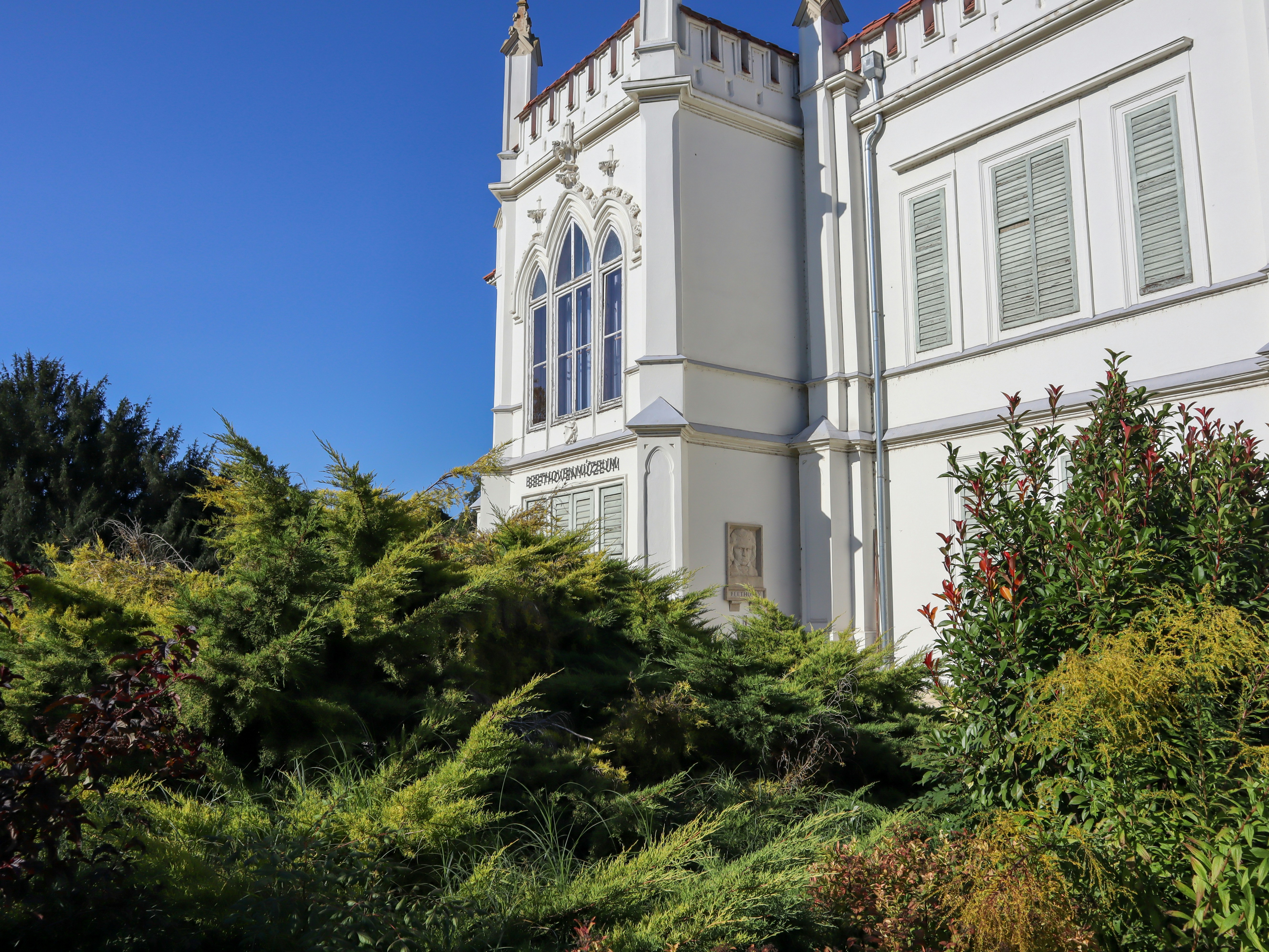 Photo by violatakesphotos