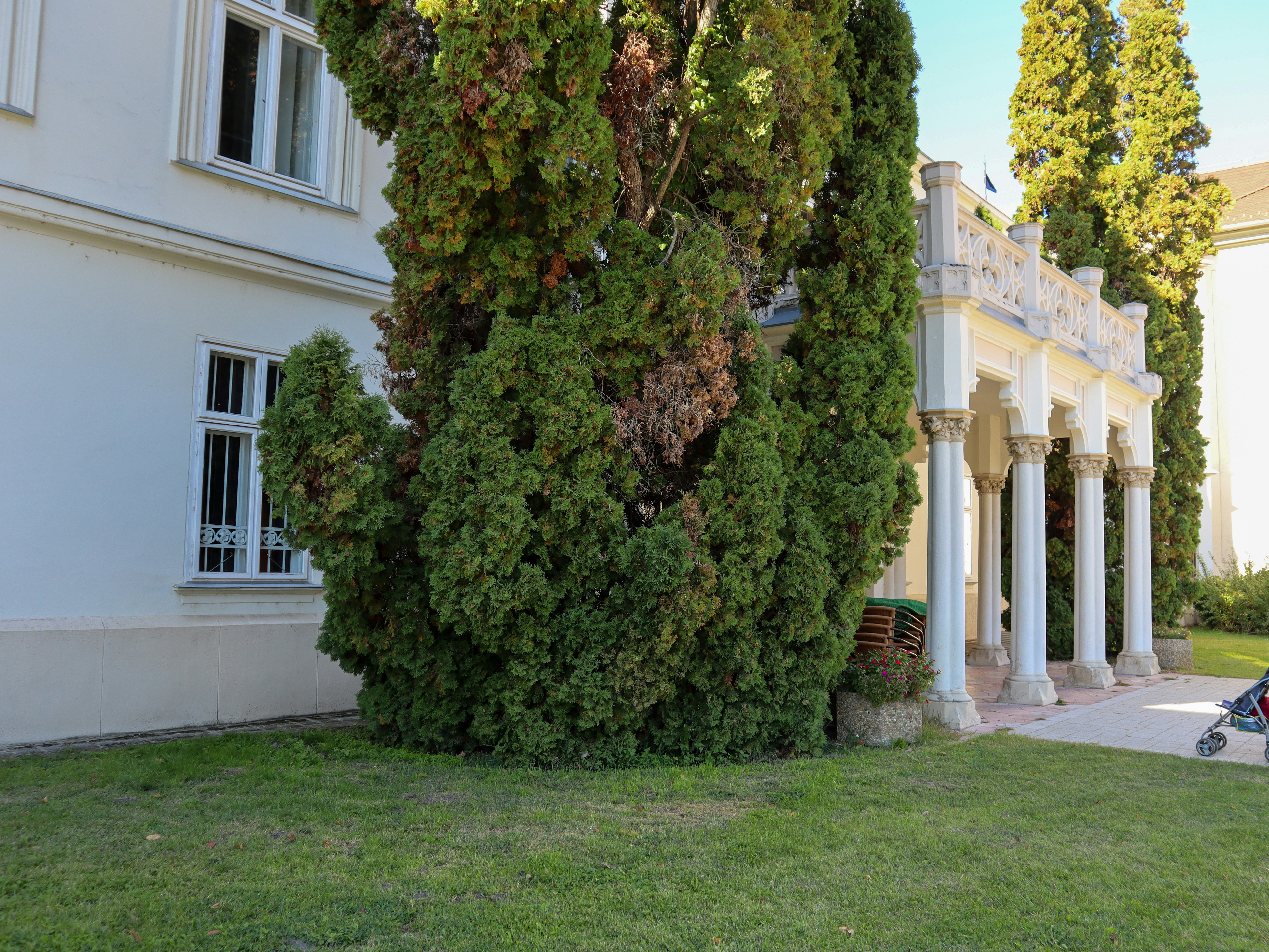 Photo by violatakesphotos