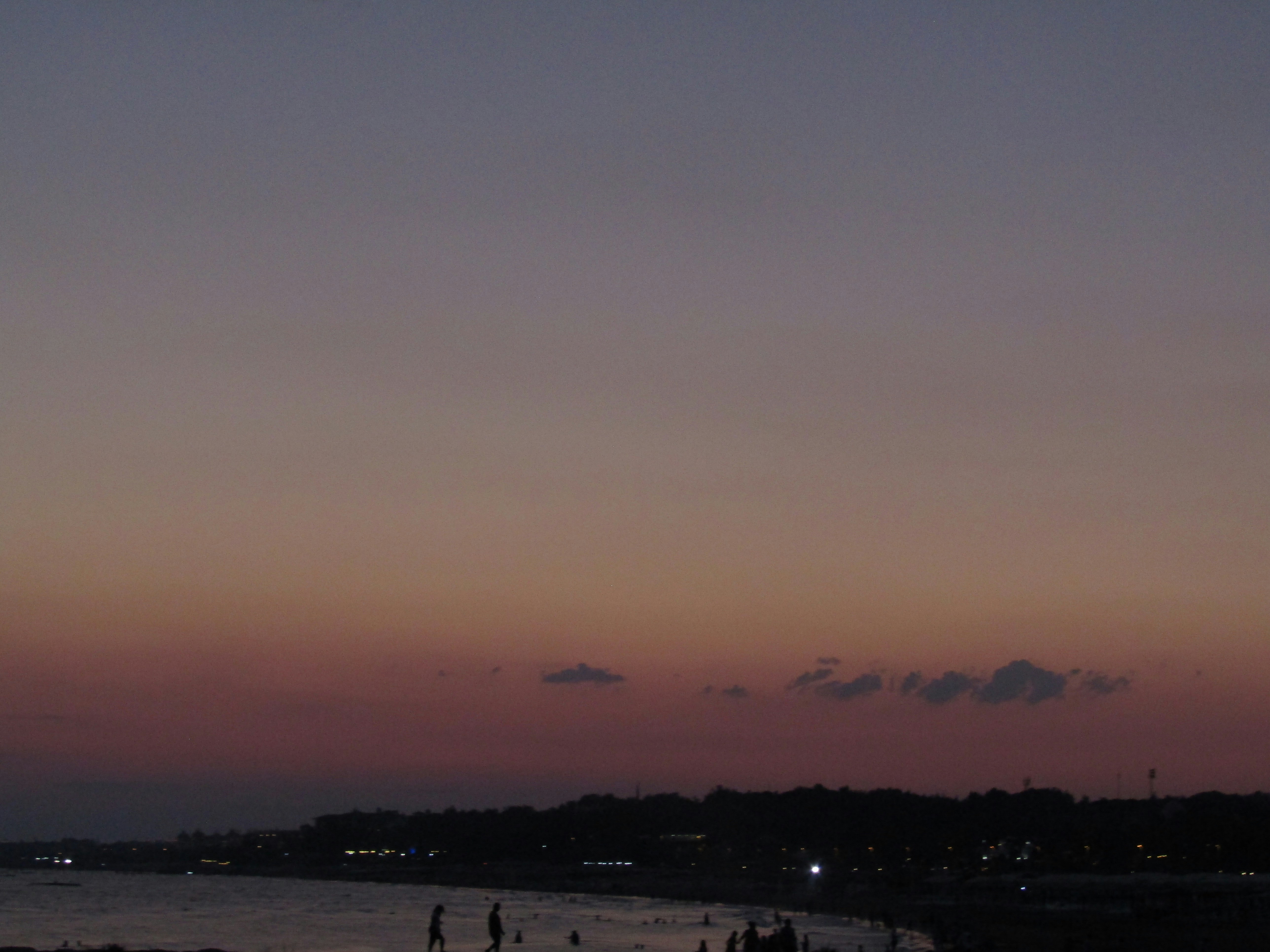 a group of people standing on top of a beach next to the ocean