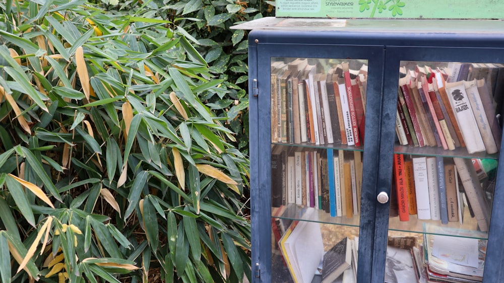 a book case filled with lots of books next to a bush