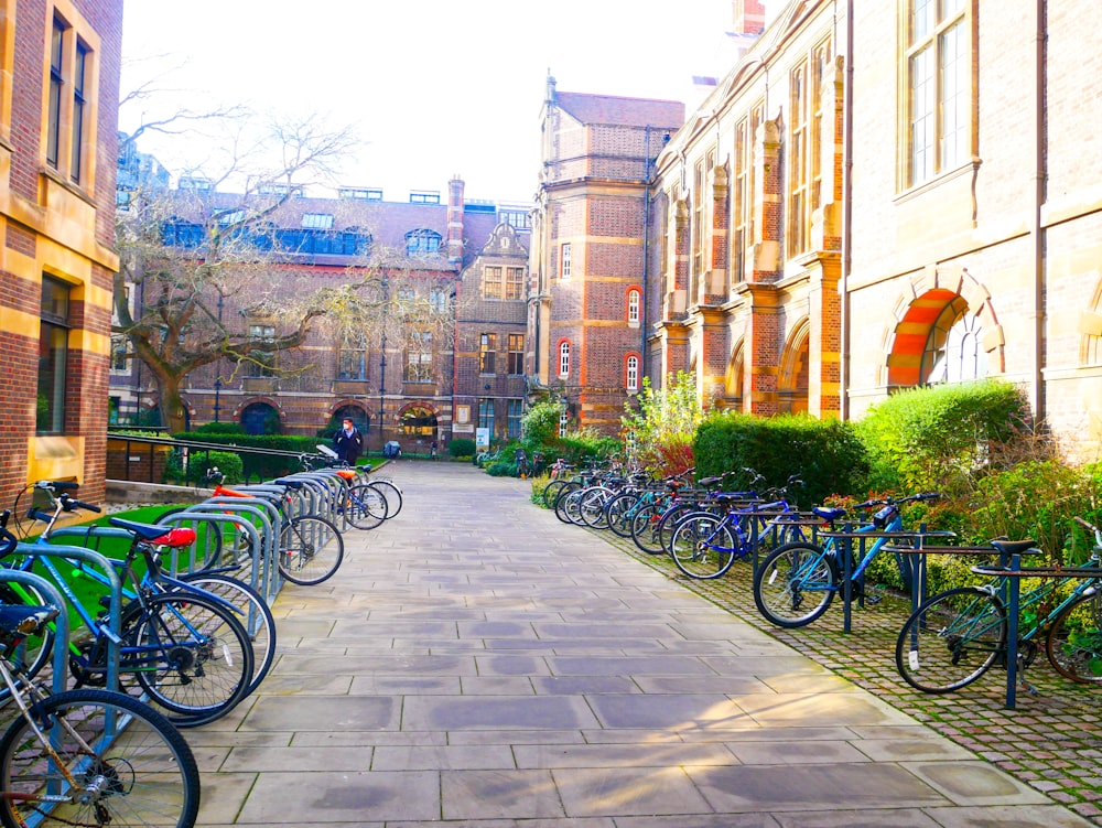 a row of bikes parked next to each other on a sidewalk