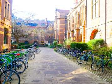 A picturesque courtyard lined with vintage brick buildings, featuring neatly arranged bicycles on both sides of a stone-paved walkway. The sunlight casts a warm glow, highlighting the architectural details and greenery.