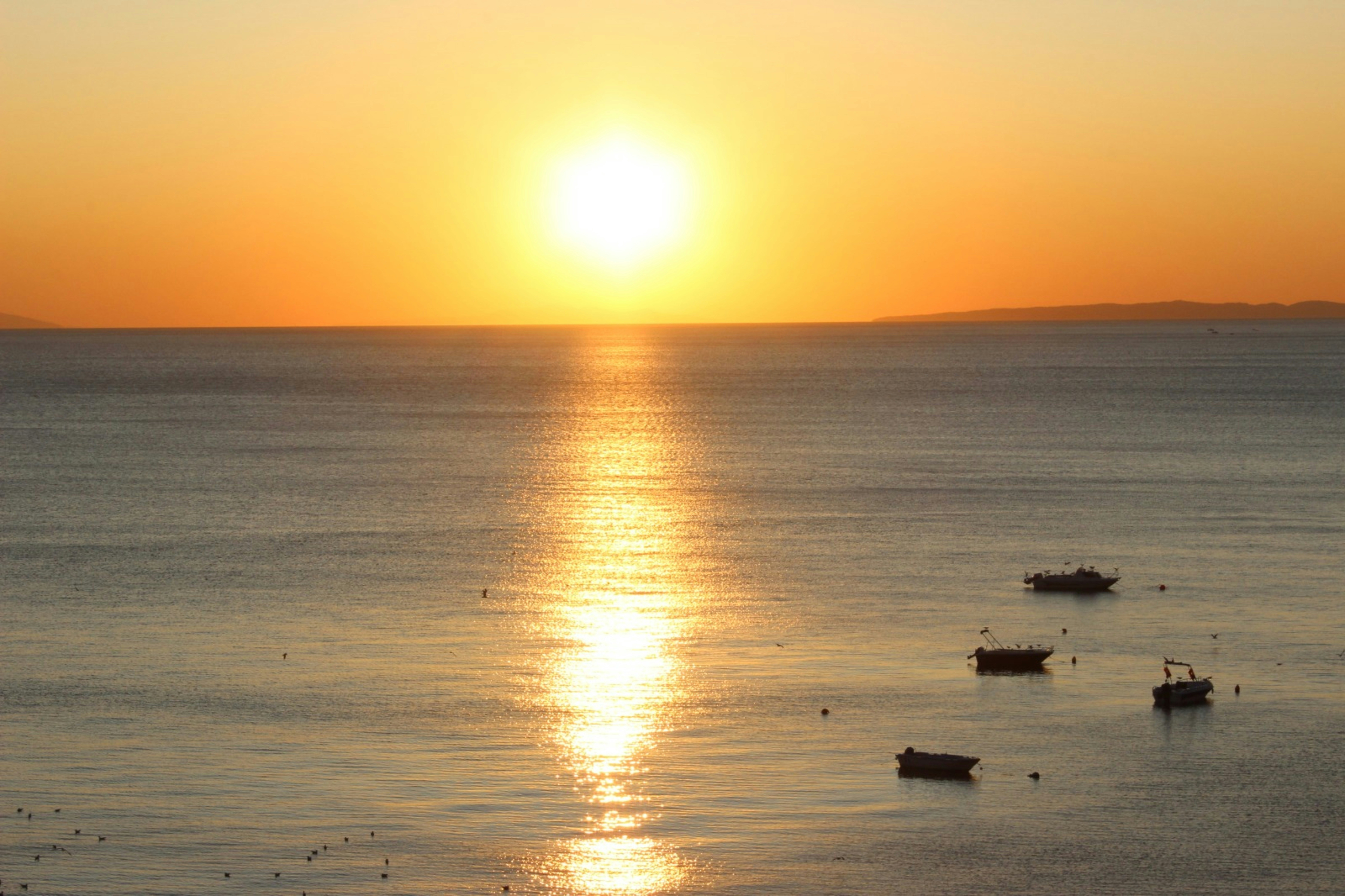a group of boats floating on top of a large body of water