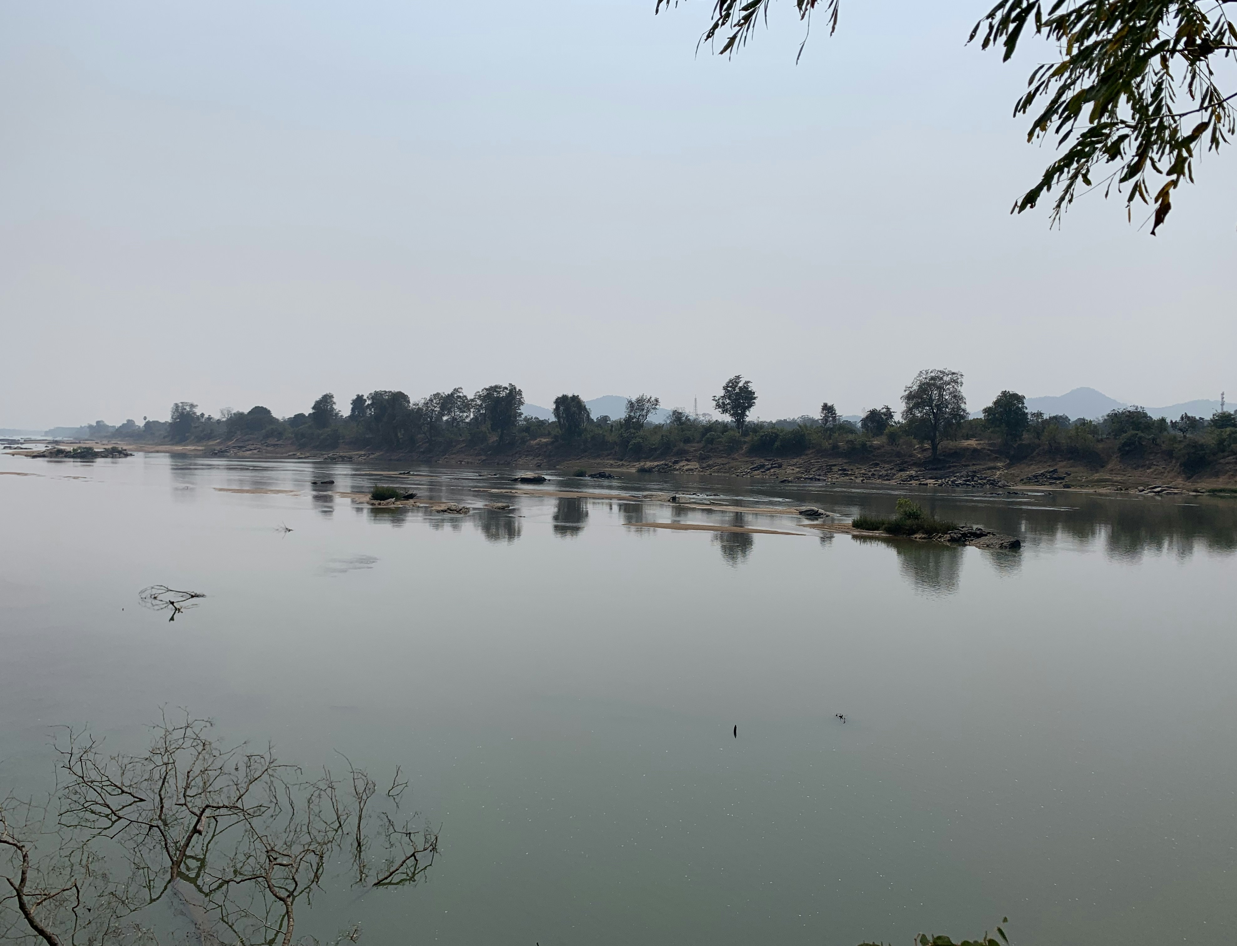 Large body of water surrounded by trees