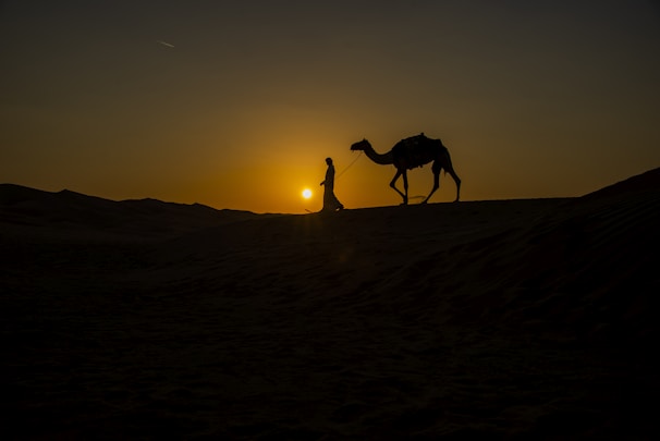 Sunset over the majestic dunes of Wahiba Sands in Oman, with a camel caravan silhouetted against the orange sky.