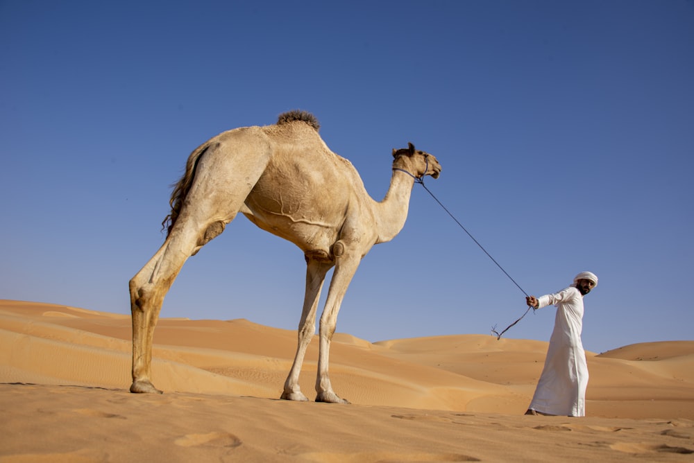 a man with a camel in the desert