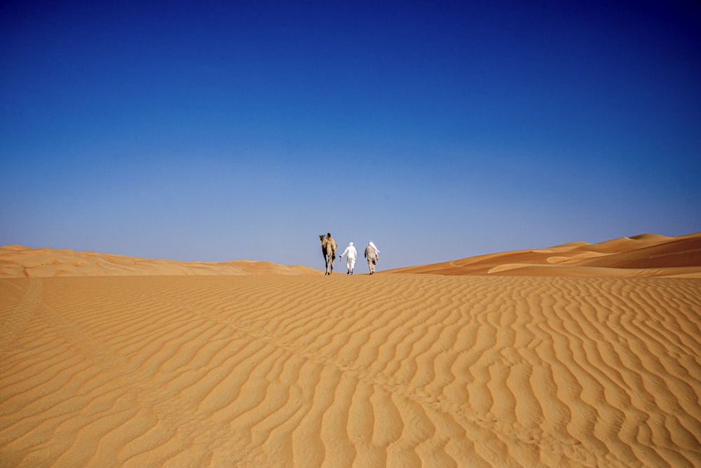 a group of people walking across a desert