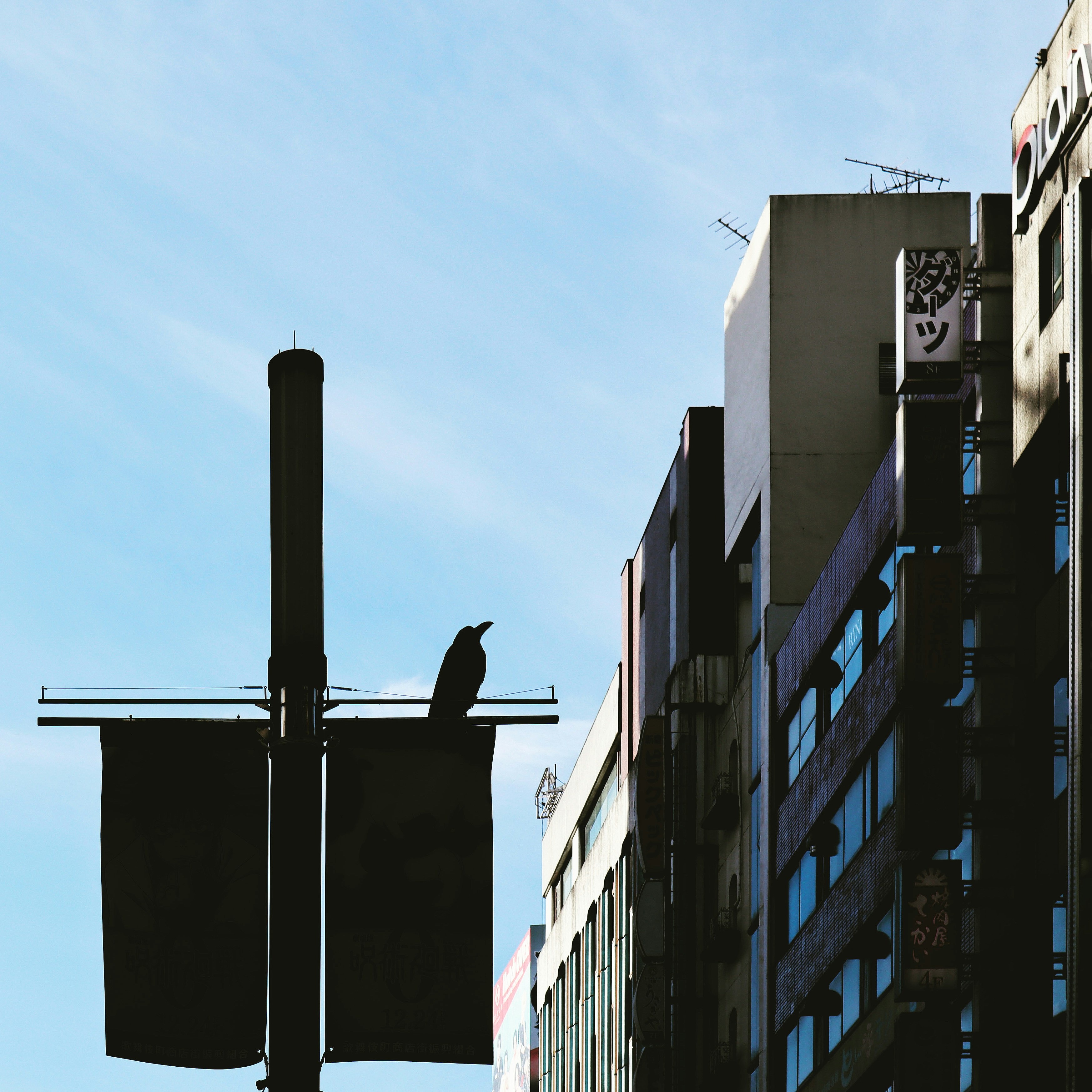 Photo by yuri_medeiros