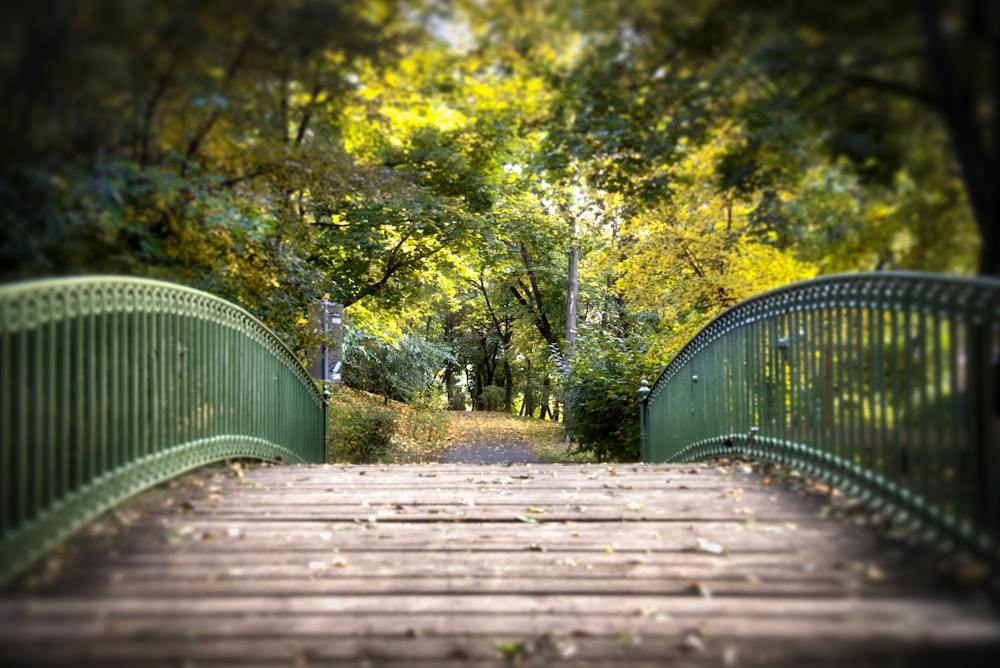 a bridge that is over a dirt road