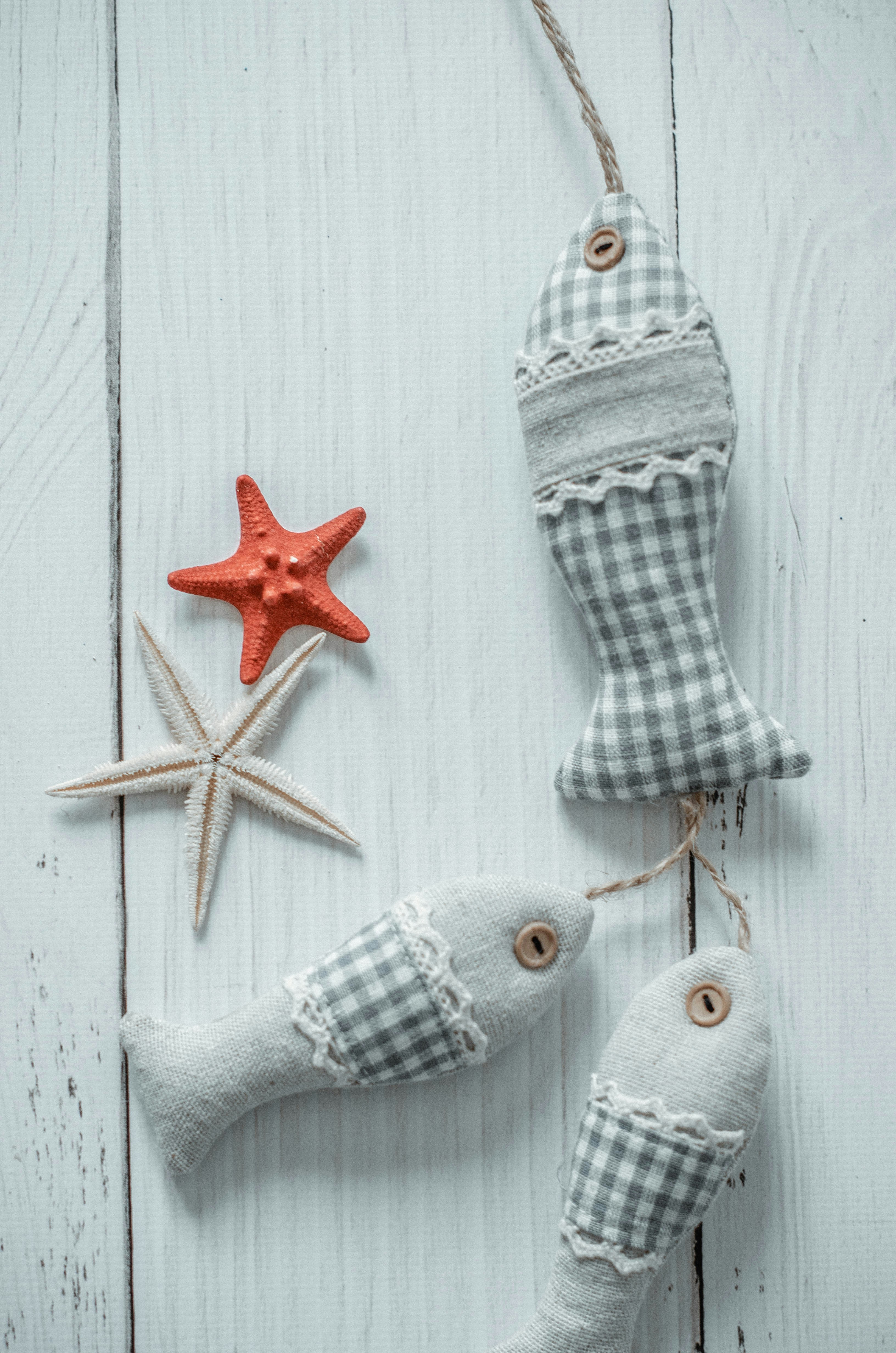 Photo by nika_benedictova