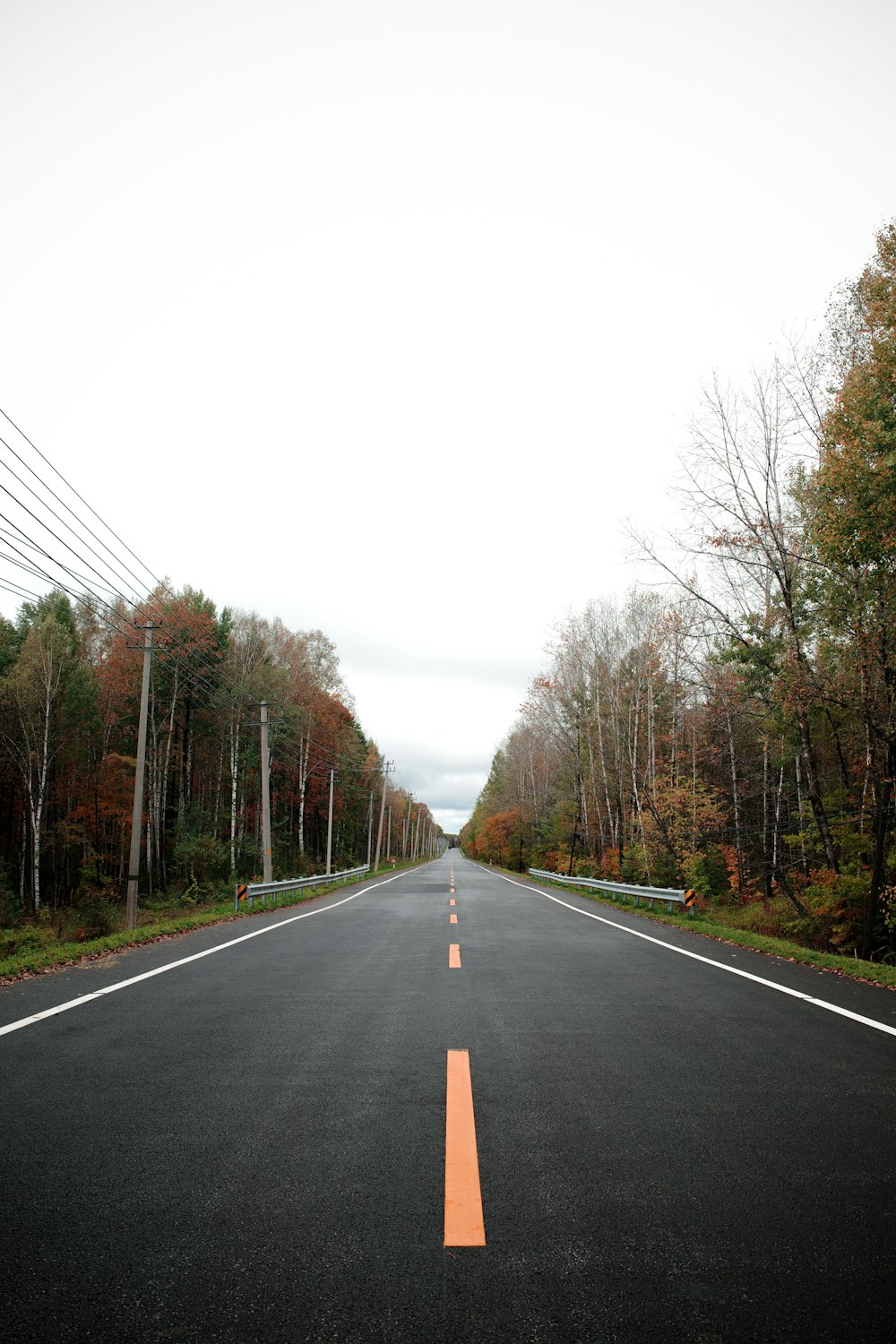 an empty road surrounded by trees and power lines