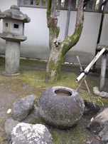 A serene garden corner with moss-covered stones and gentle bamboo shadows.