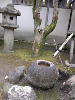 A serene garden corner with moss-covered stones and gentle bamboo shadows.