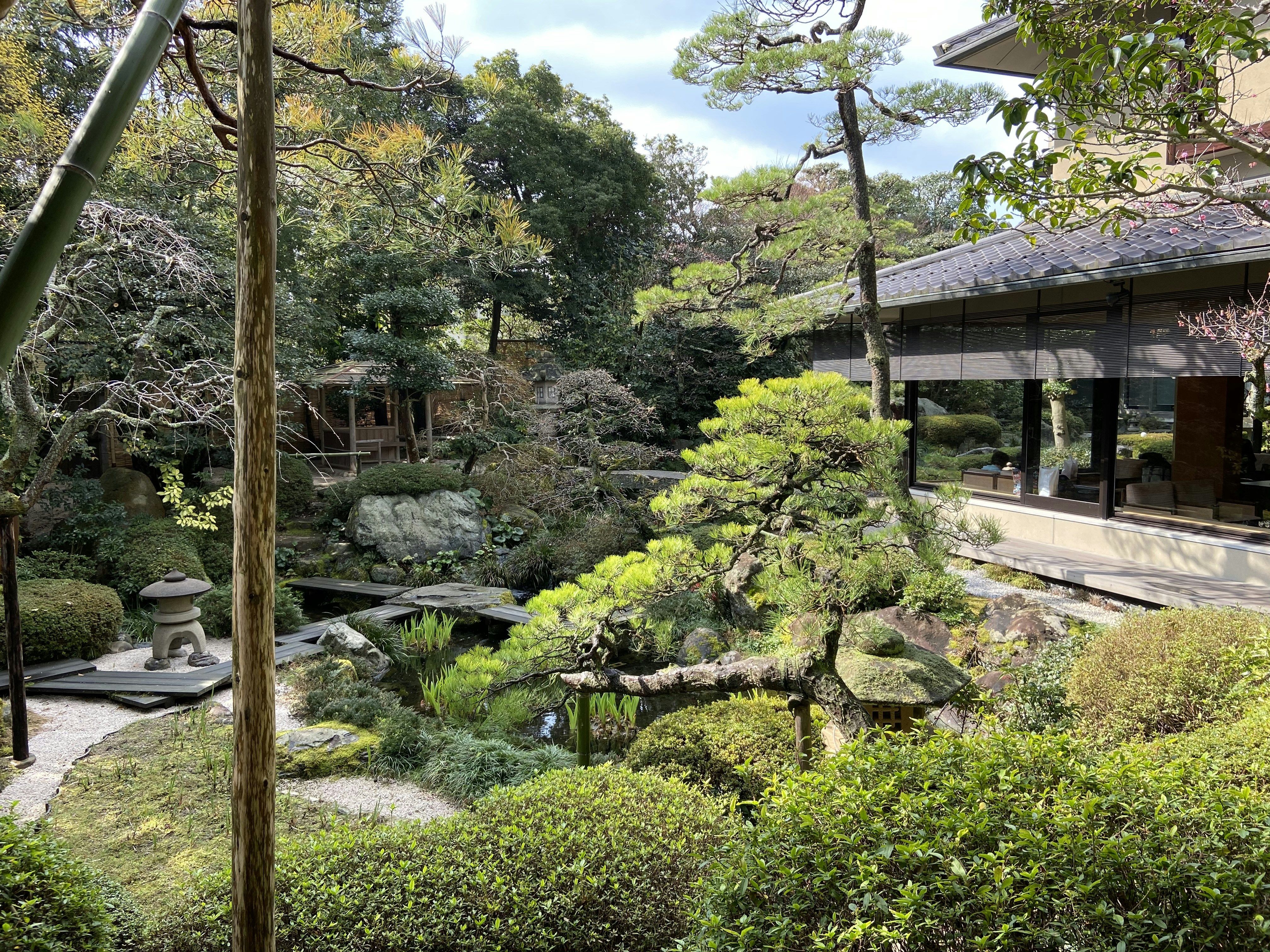 Domo's traditional Japanese garden - unique dining spots in denver