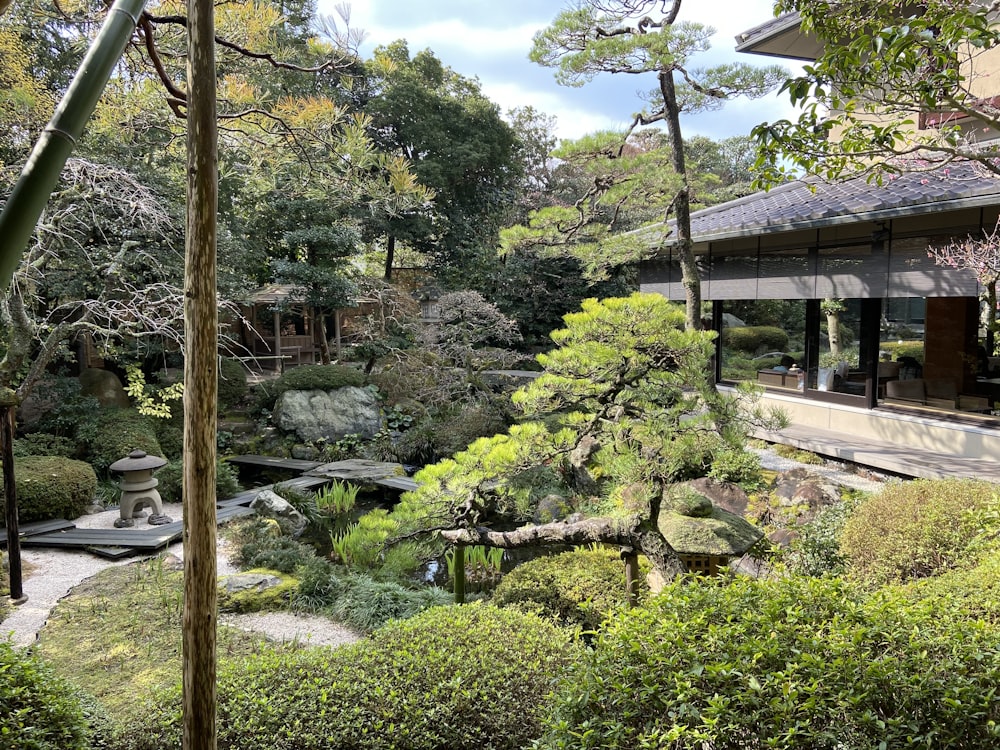 a view of a japanese garden with a pond