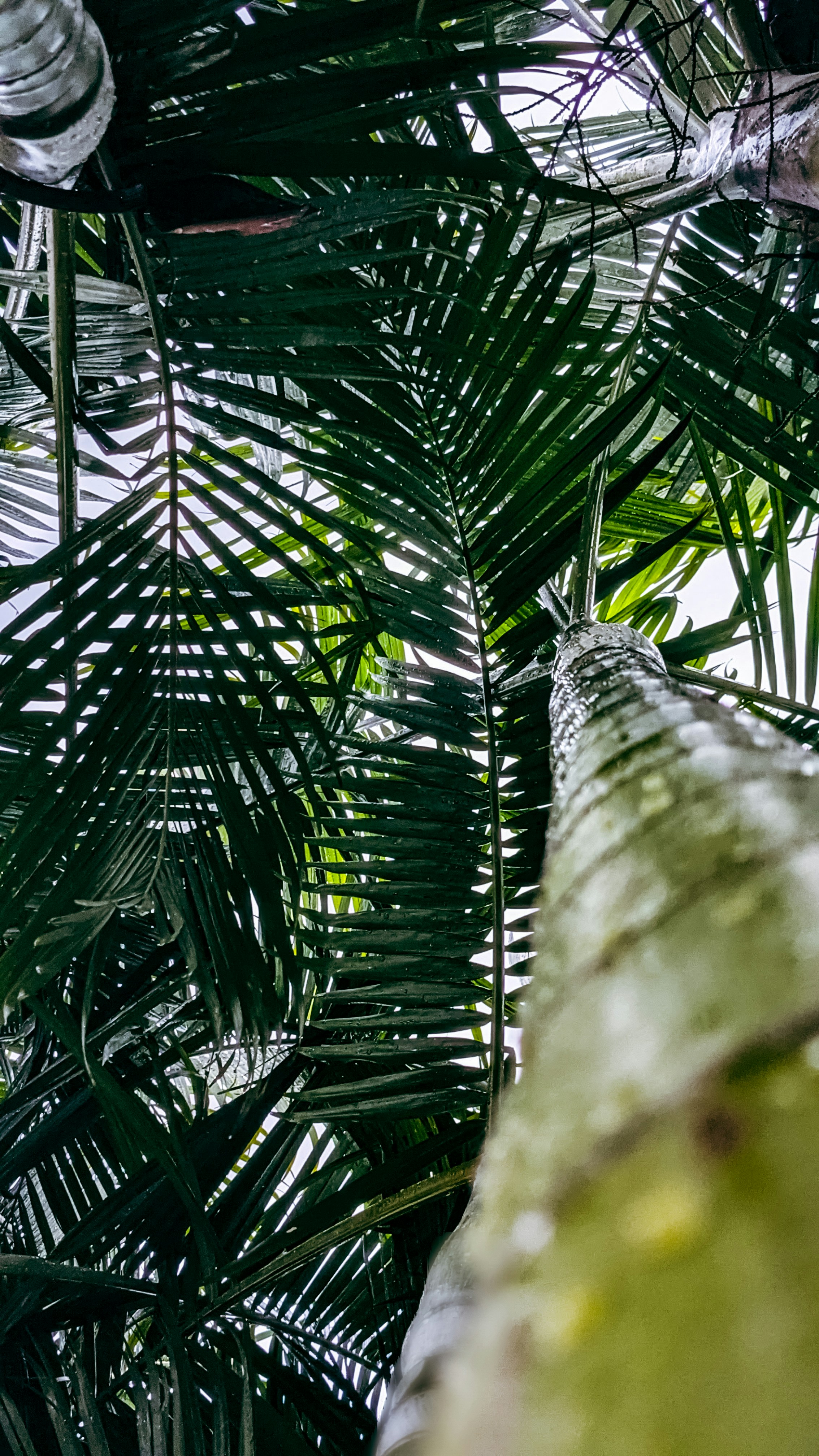 Photo by vishwanth07