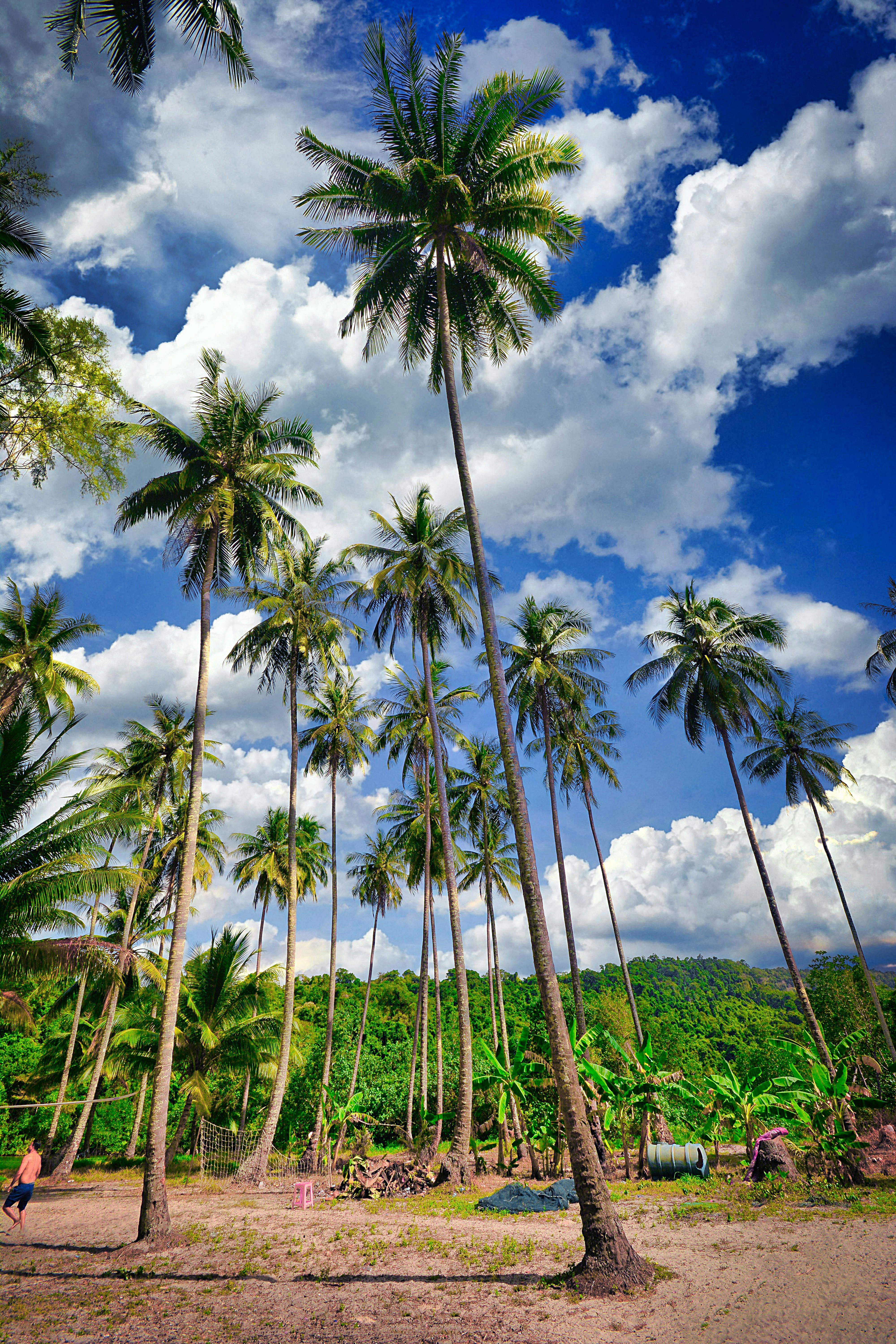 Photo by allphotobangkok