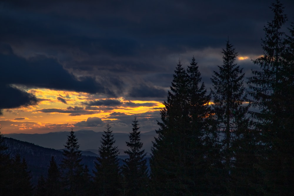 the sun is setting over the trees in the forest