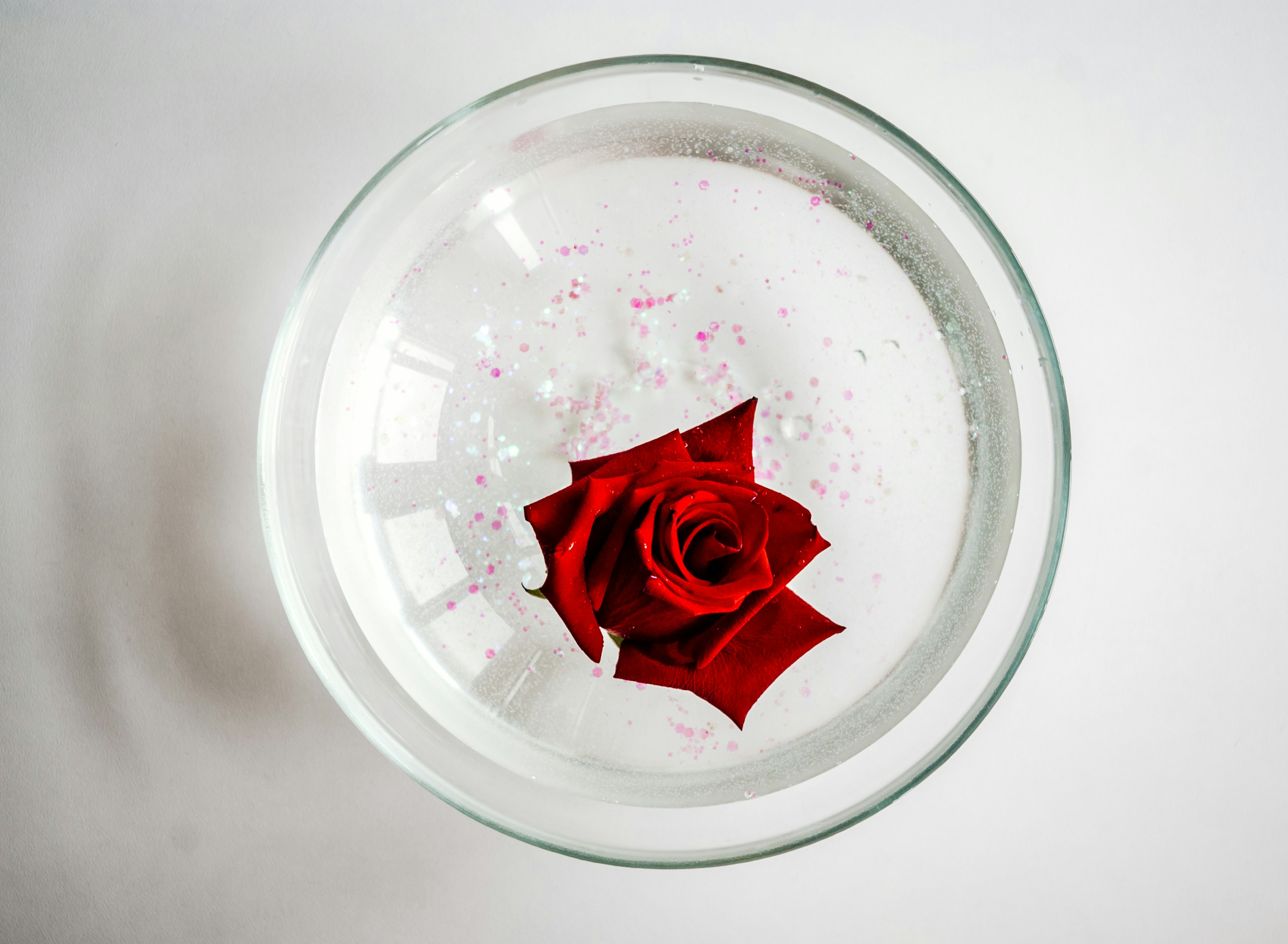 cleantech related image for: Floral Waste Yields Bioelectricity in Microbial Fuel Cells