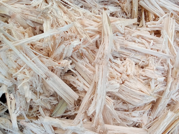 A close-up view of light-colored wood shavings or chips, showcasing the fibrous and textured nature of the material. The shavings appear dry and randomly stacked with varying widths and lengths.