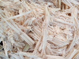 A close-up view of light-colored wood shavings or chips, showcasing the fibrous and textured nature of the material. The shavings appear dry and randomly stacked with varying widths and lengths.