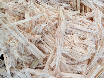 A close-up view of light-colored wood shavings or chips, showcasing the fibrous and textured nature of the material. The shavings appear dry and randomly stacked with varying widths and lengths.