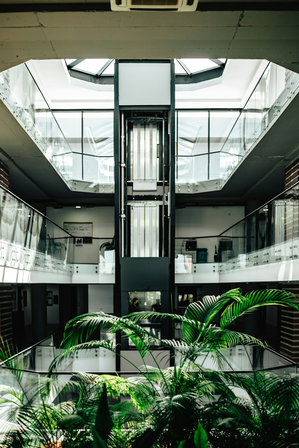 a plant in a planter in a large building