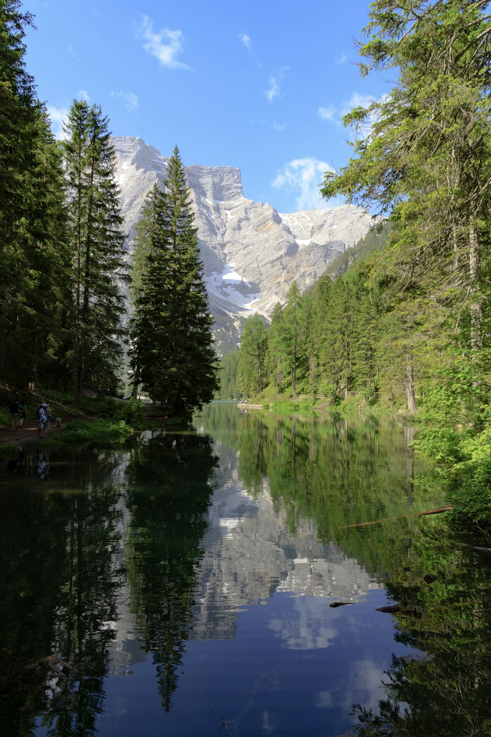 a body of water surrounded by trees and mountains