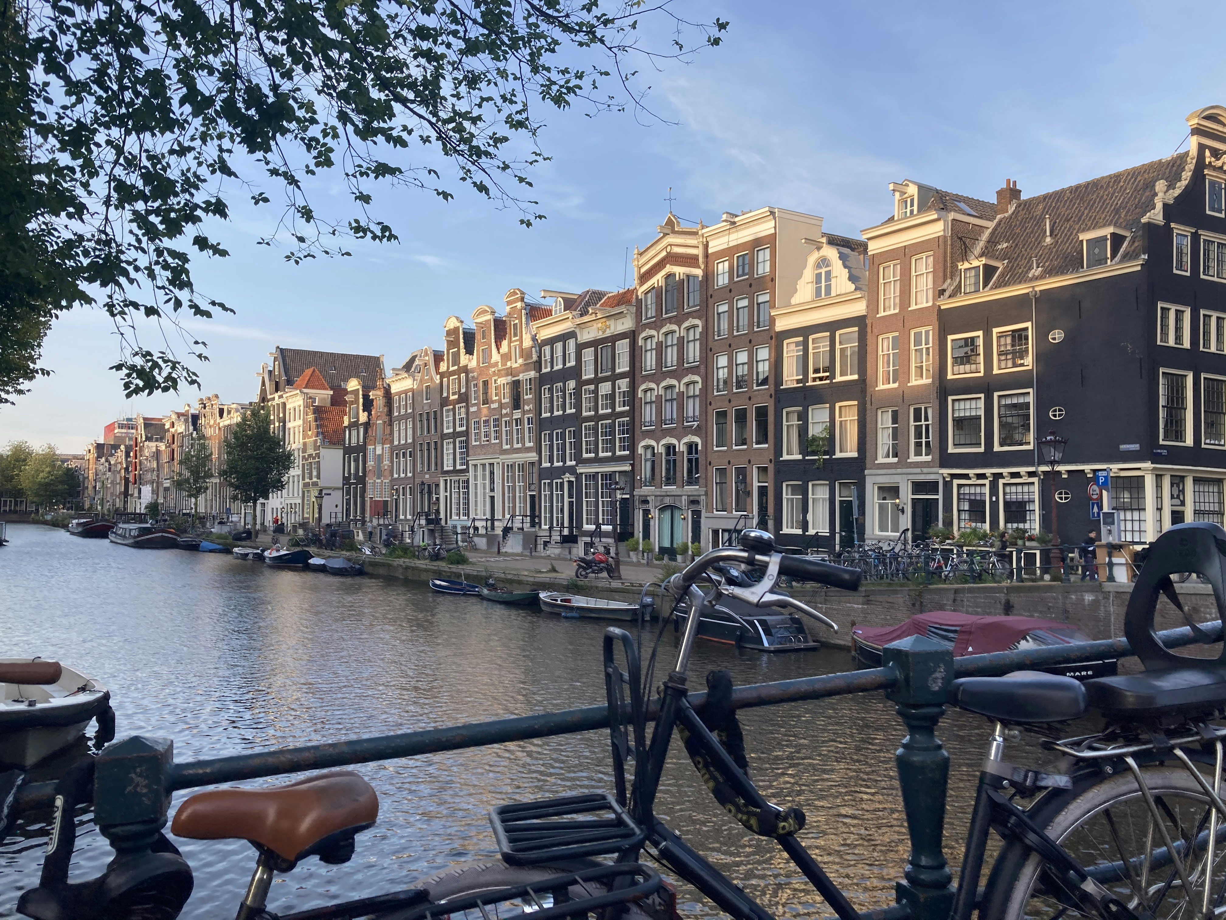 Photo by naomidekker