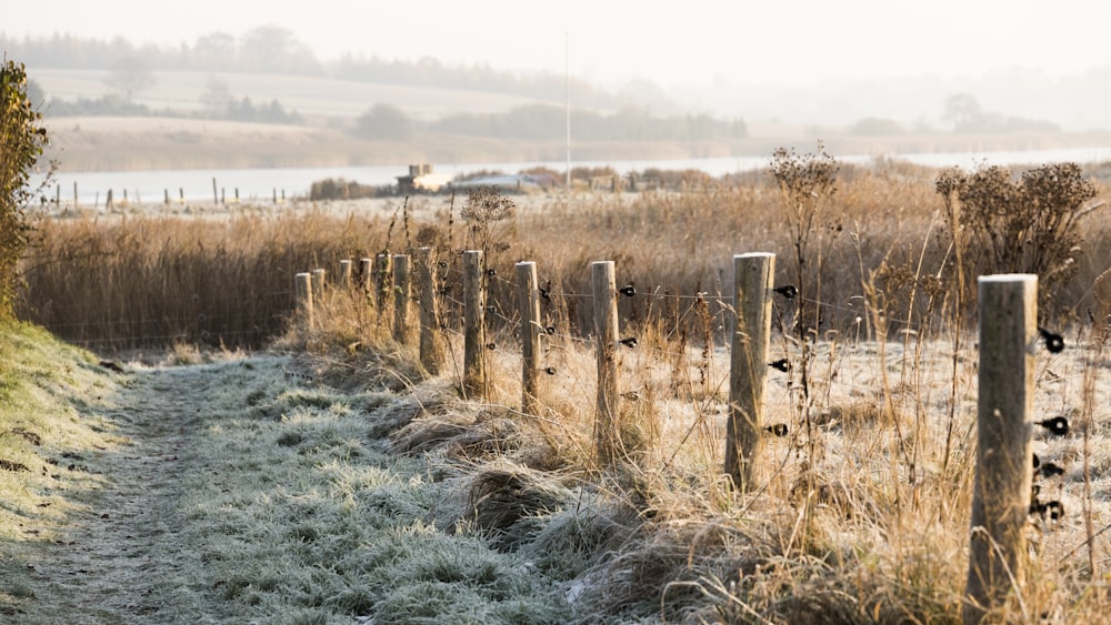 a frosty path in a field next to a lake