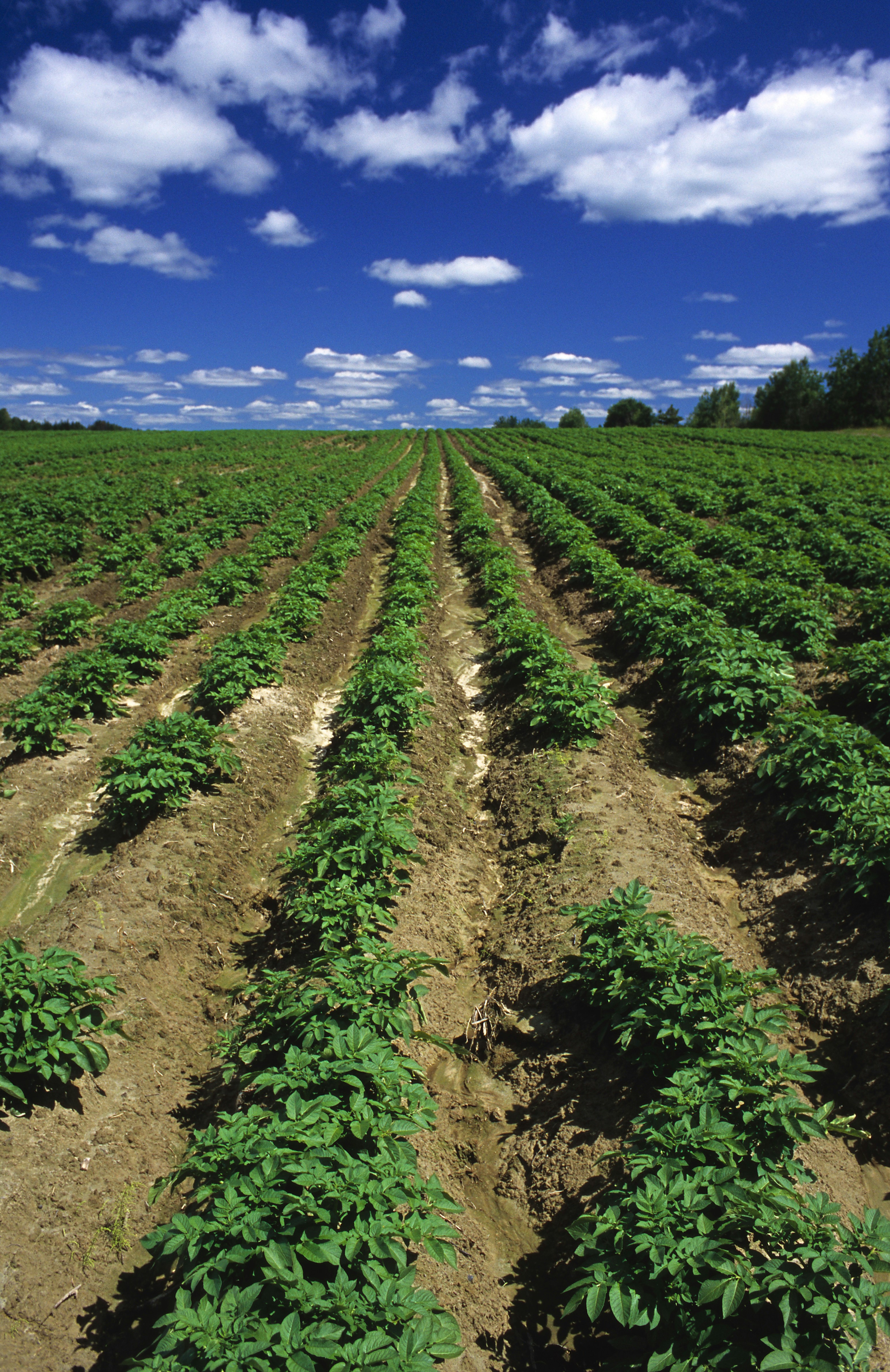 Photo by temiscamingue