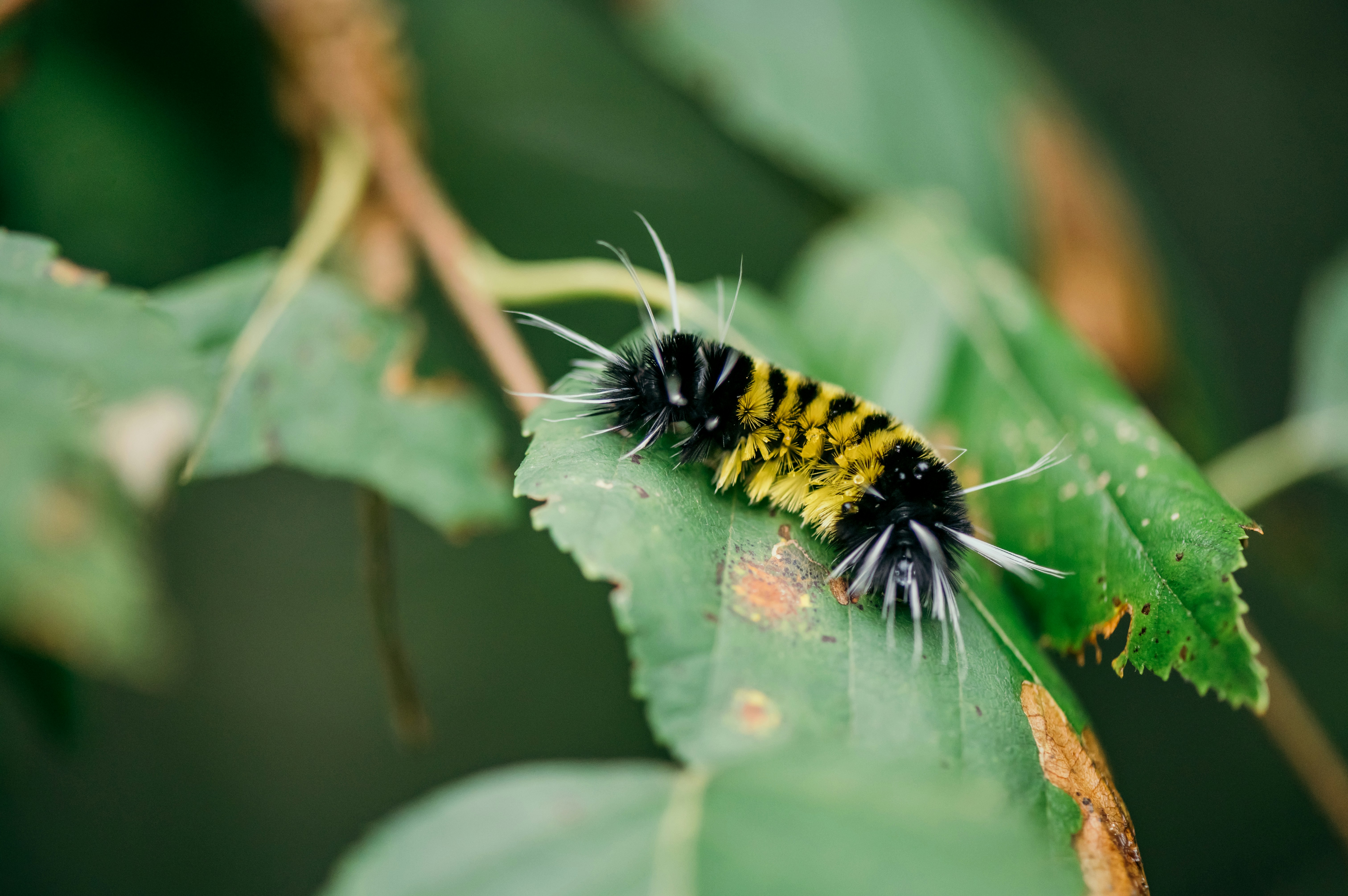 Photo by temiscamingue