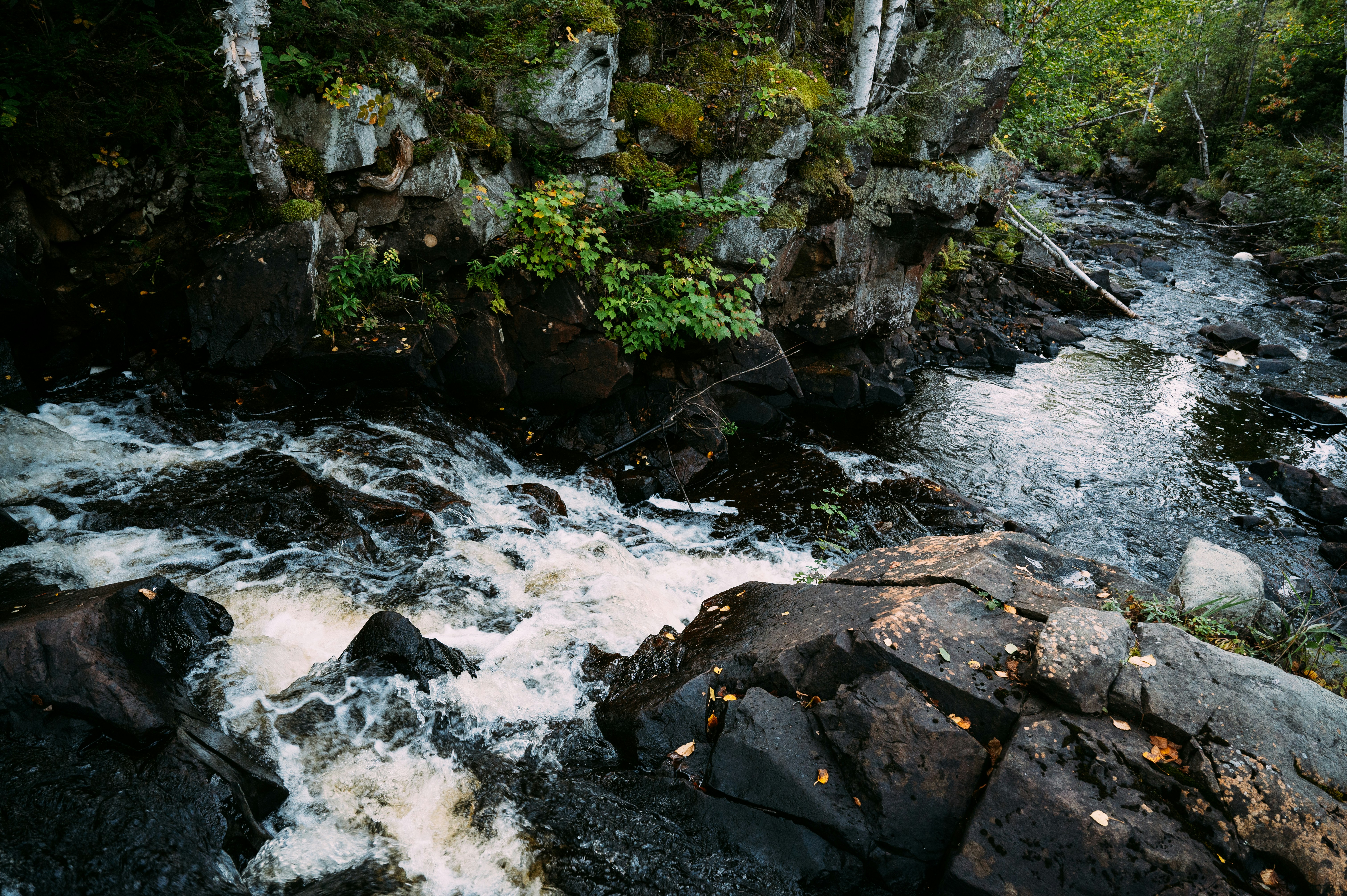 Photo by temiscamingue