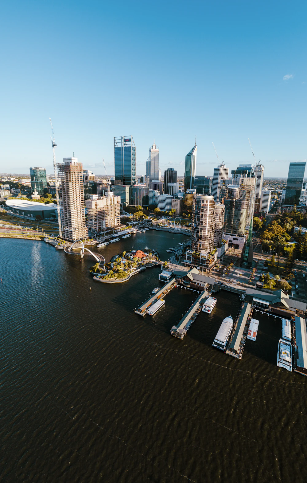 Adelaide Convention Centre and city buildings beside the River Torrens