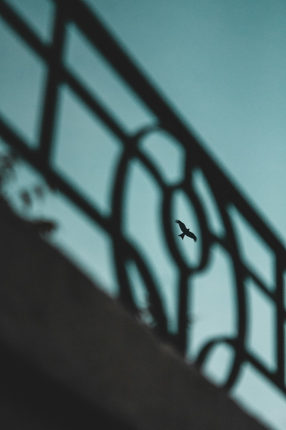 a bird flying in the sky over a railing
