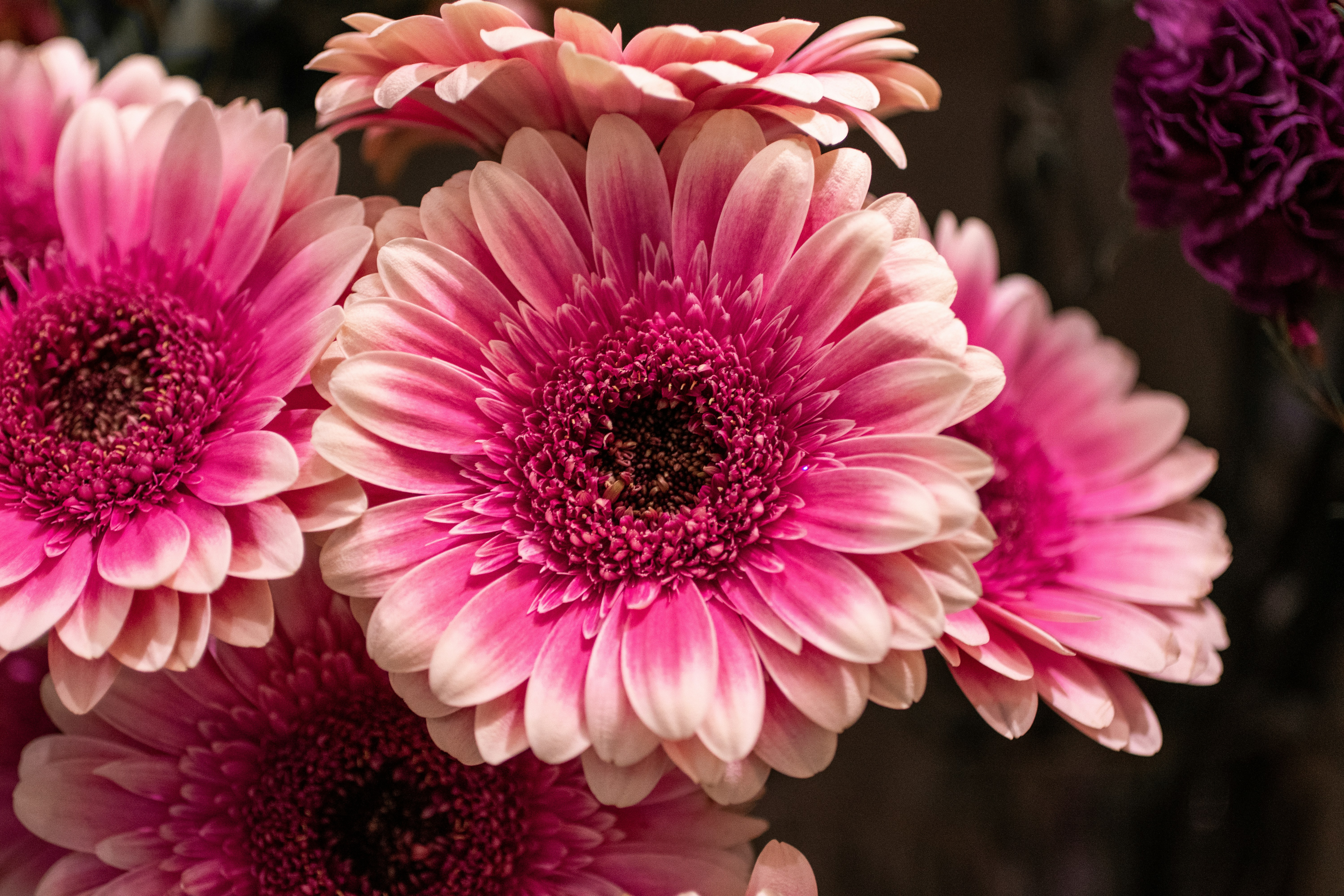 Photo by barthelemy_r