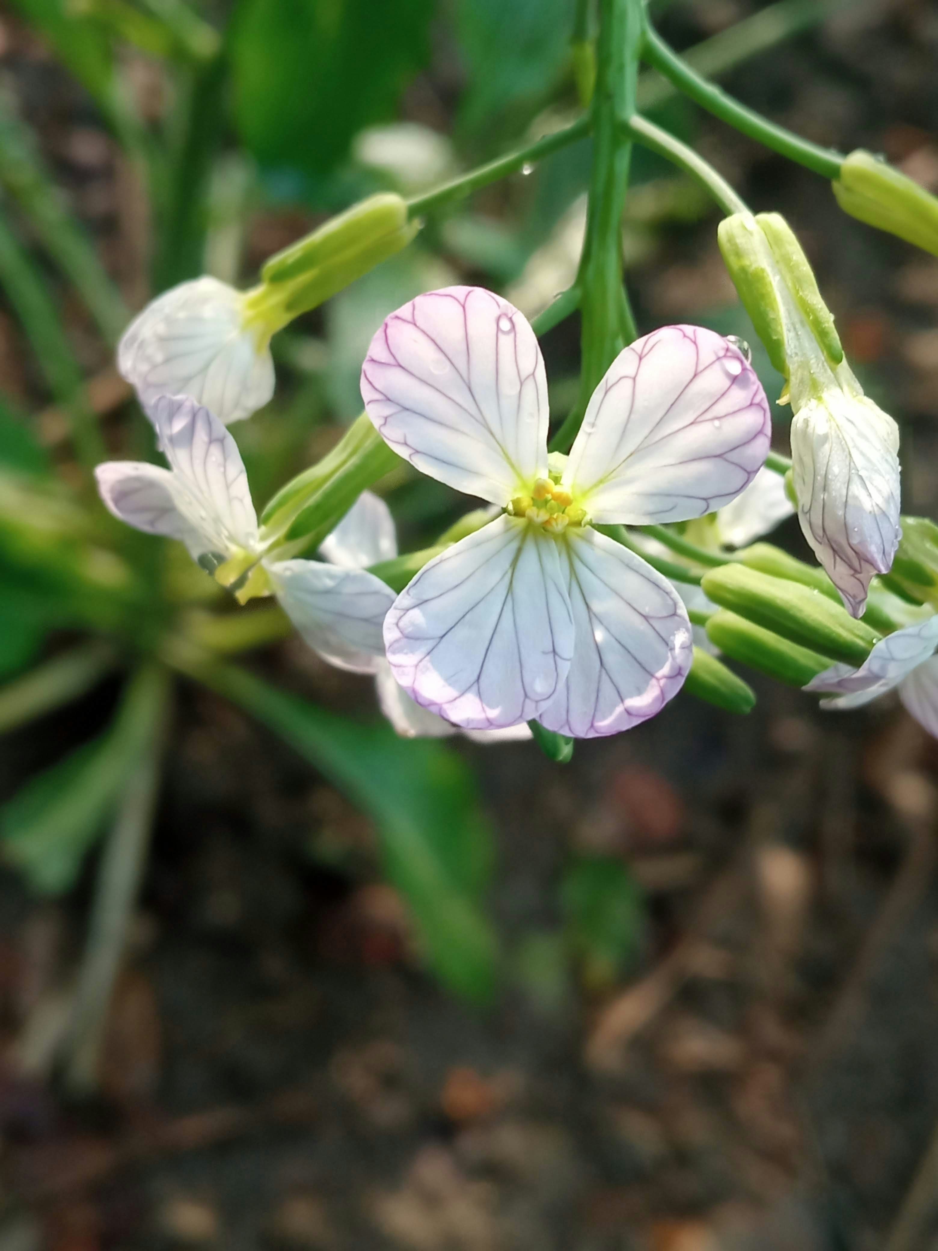 Photo by littledoc420