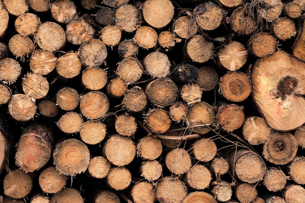 a pile of cut wood sitting next to each other