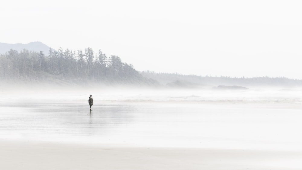a person standing on a beach in the fog