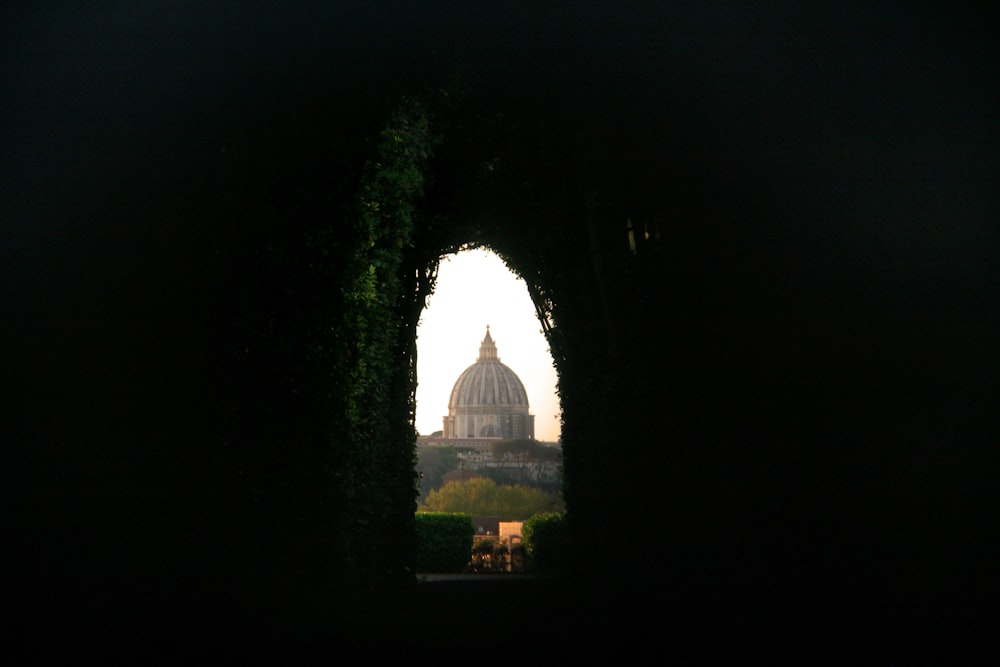 a view of the dome of a building through some trees