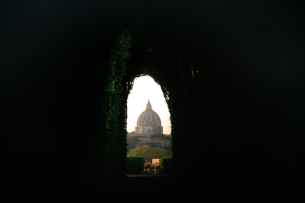 una vista della cupola di un edificio attraverso alcuni alberi