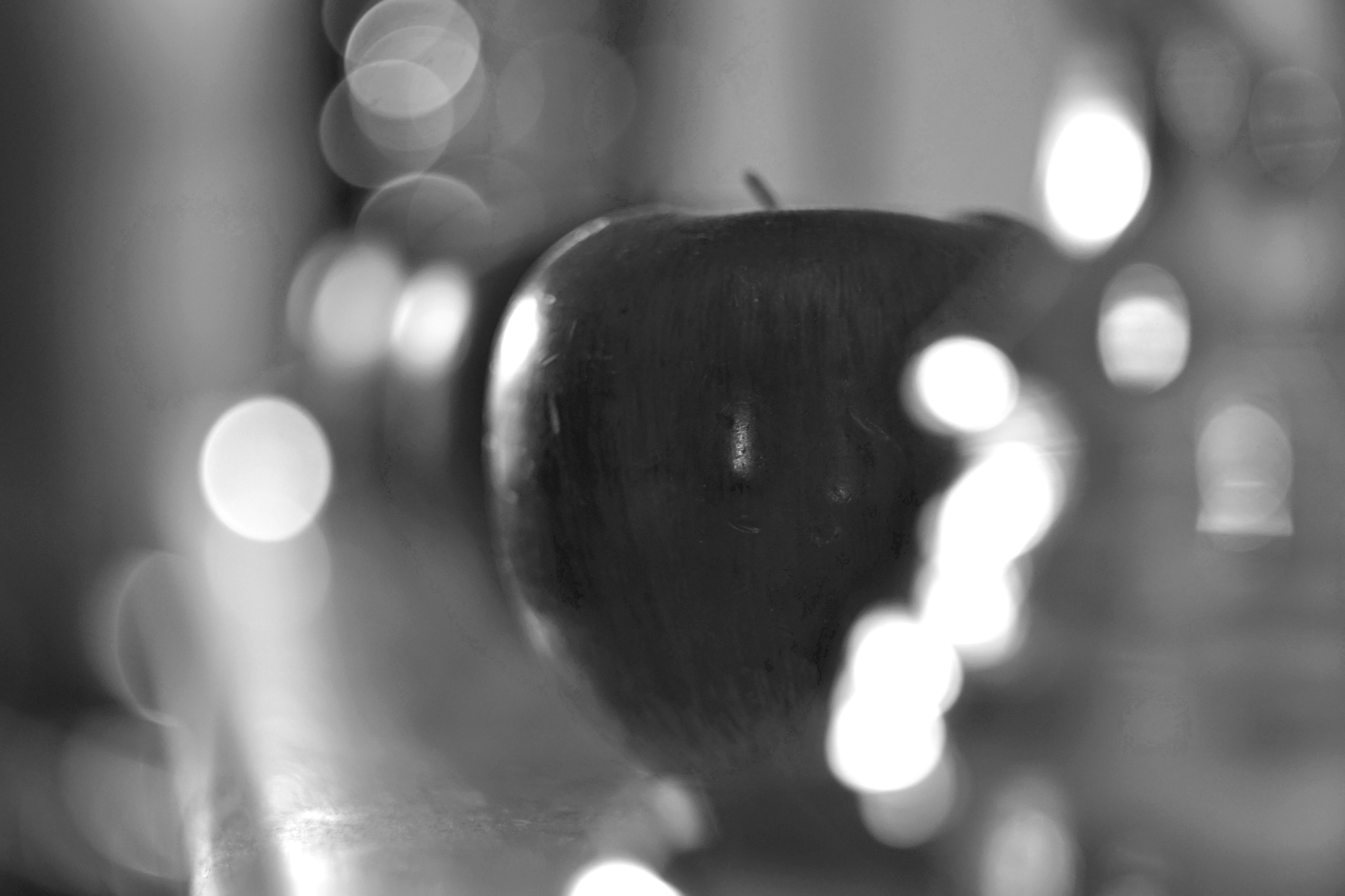 Photo by georgediama_exe