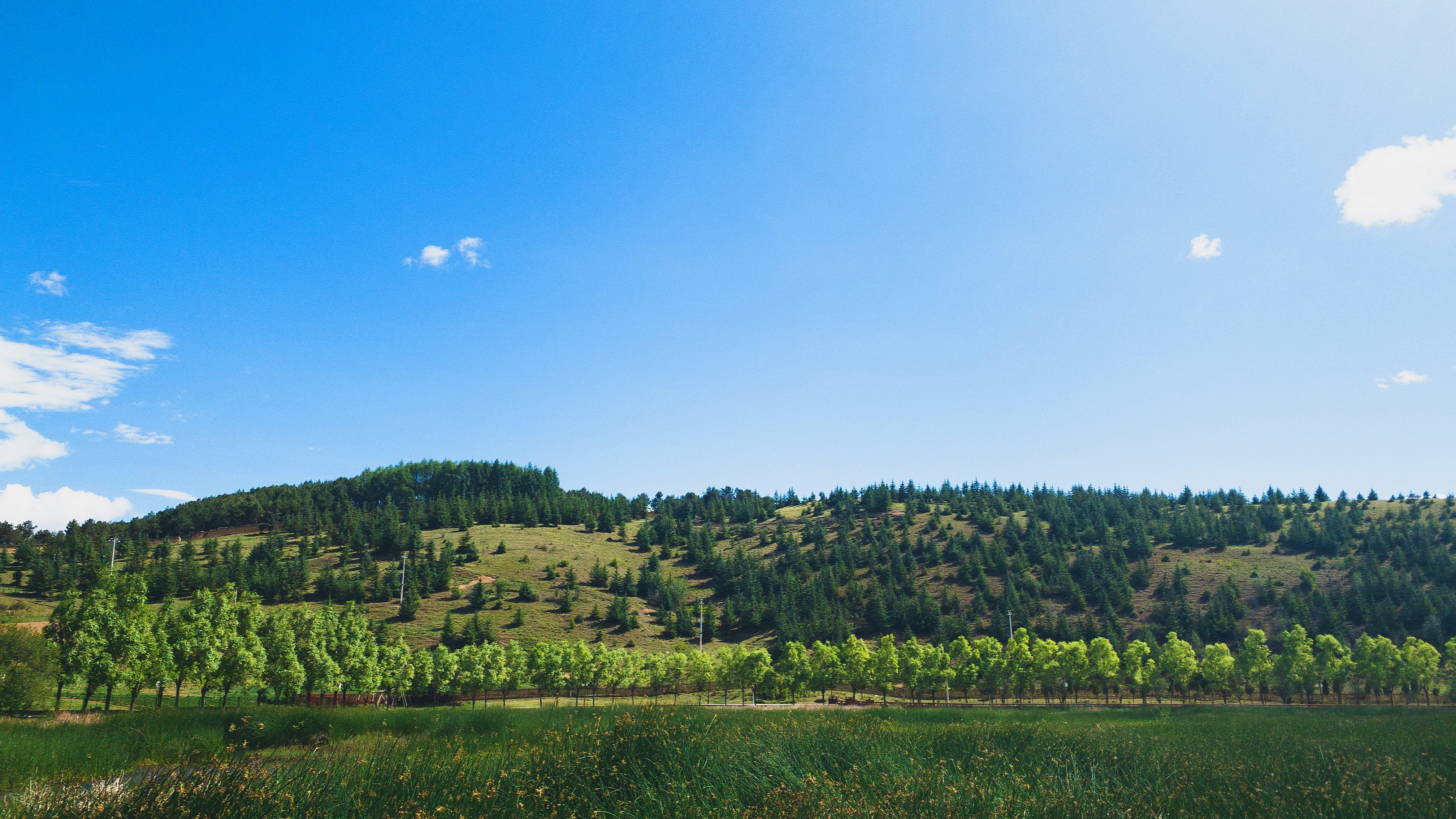 Photo by dameng_unsplash