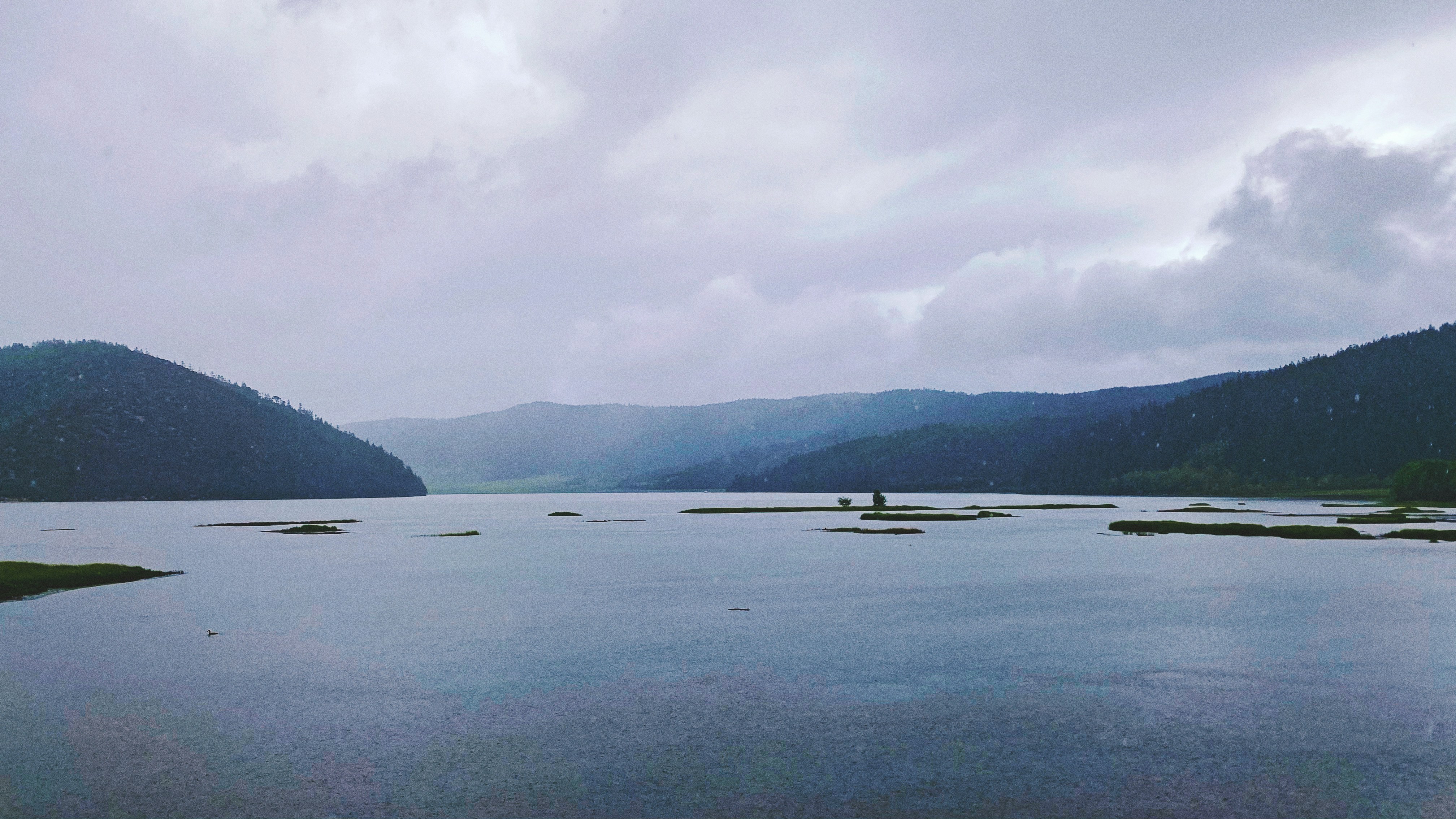Photo by dameng_unsplash