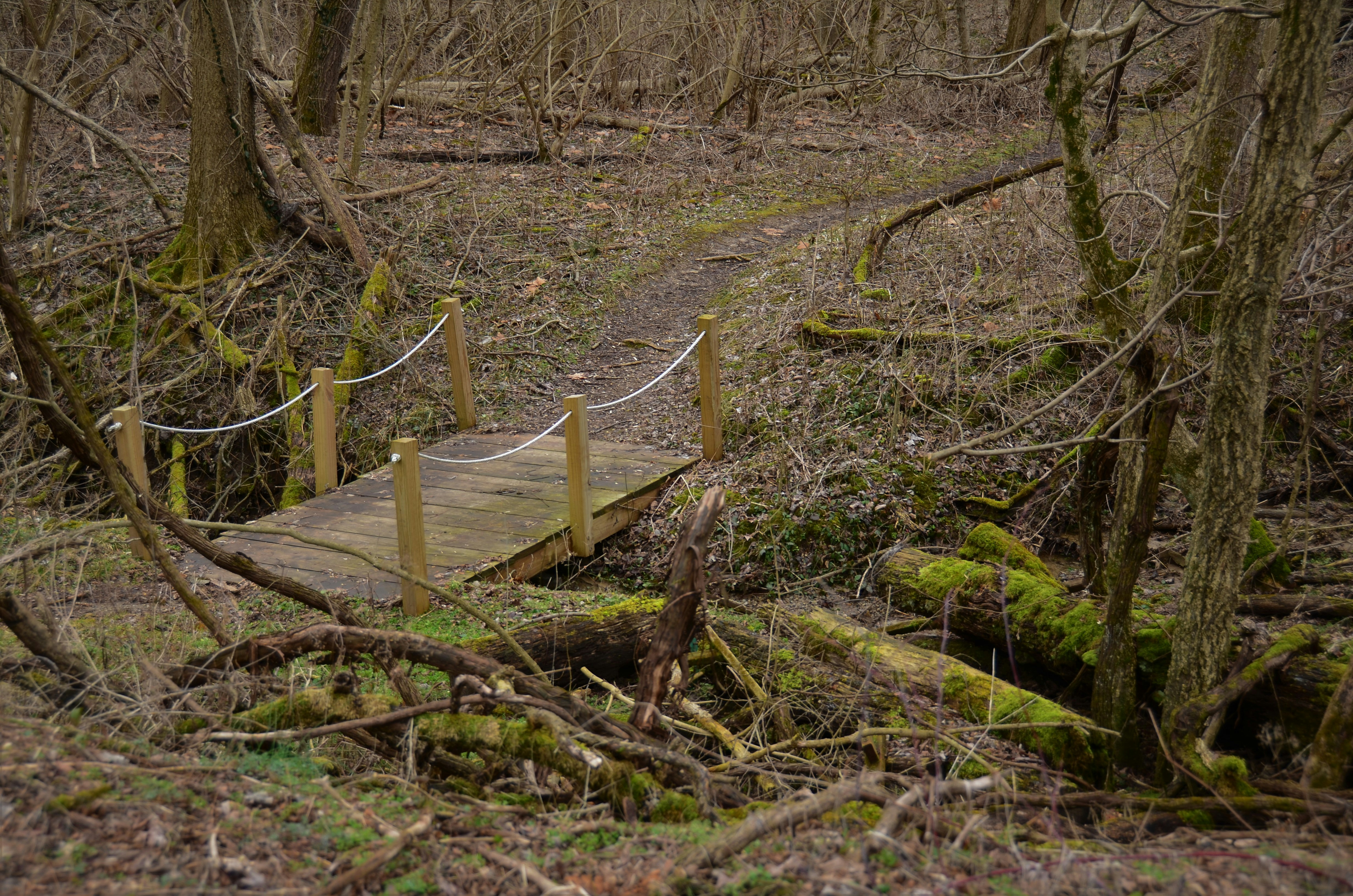 Vacant Plot