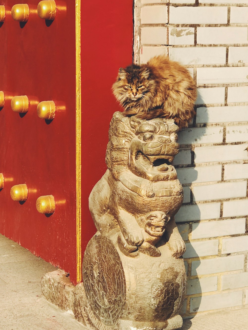 a cat is sitting on top of a statue