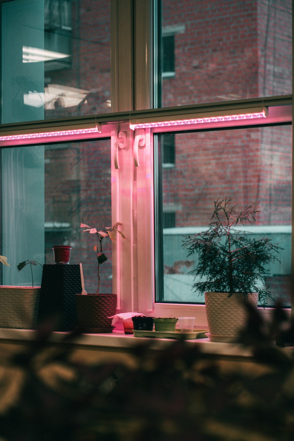 a window sill with a potted plant next to it